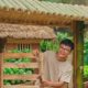 HOANG LiTle
